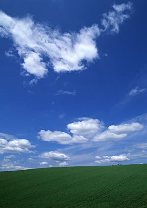 これからの時代のお墓というもの