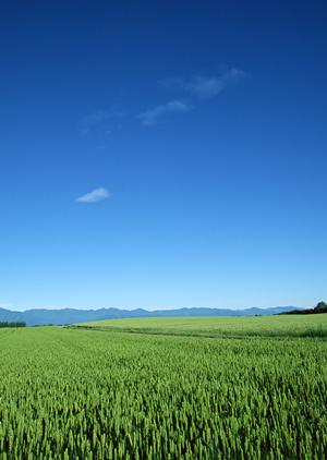 栃木の普門院の永代供養墓について