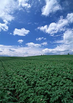 静岡市清水区にある【富士葬祭 双樹】 ? 家族葬・一般葬に対応した安心の葬儀場