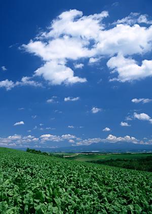 【静岡県藤枝市の葬儀場】富士葬祭 藤枝御苑の特徴とサービス概要