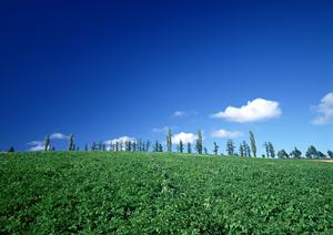 静岡市で安心・低価格の家族葬を提供【家族葬のタクセル沓谷】の特徴と料金プラン紹介