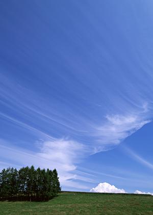 富士市瓜島の安心と信頼の葬祭サービス|富士葬祭 富士瓜島の特徴と店舗情報