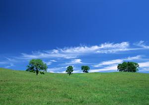 静岡市葵区に新規オープンの家族葬専用斎場｜安心低価格で完全貸切の家族葬ホール「家族葬のタクセル新伝馬」