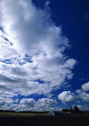 富士市青島の家族葬向け斎場｜富士葬祭富士青島の特徴とサービス紹介