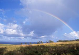 静岡市の信頼と実績を誇る富士葬祭 聖一色:家族葬から大型葬儀まで対応可能な葬儀場の詳細ガイド