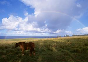 宇都宮市の家族葬・一日葬に最適なさがみ典礼の家族葬 旭｜費用・特徴・アクセス情報