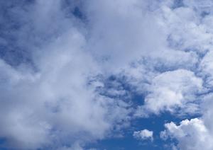 これからの新しいお墓の形を考える