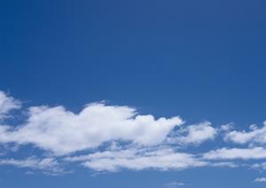 静岡県で低価格の家族葬と火葬を提供する「家族葬のタクセル」｜最新斎場情報と充実のサポート体制