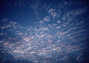 静岡県富士宮市に新規オープン!家族葬を専門にした【家族葬のタクセル宮原】の特徴と最新情報