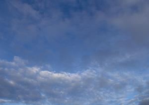 静岡県浜松市で信頼できる家族葬を提供する富士葬祭佐鳴台の詳細ガイド