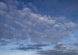 静岡市の信頼できる葬儀場【富士葬祭 豊田】：家族葬や火葬式も安心のサポート体制